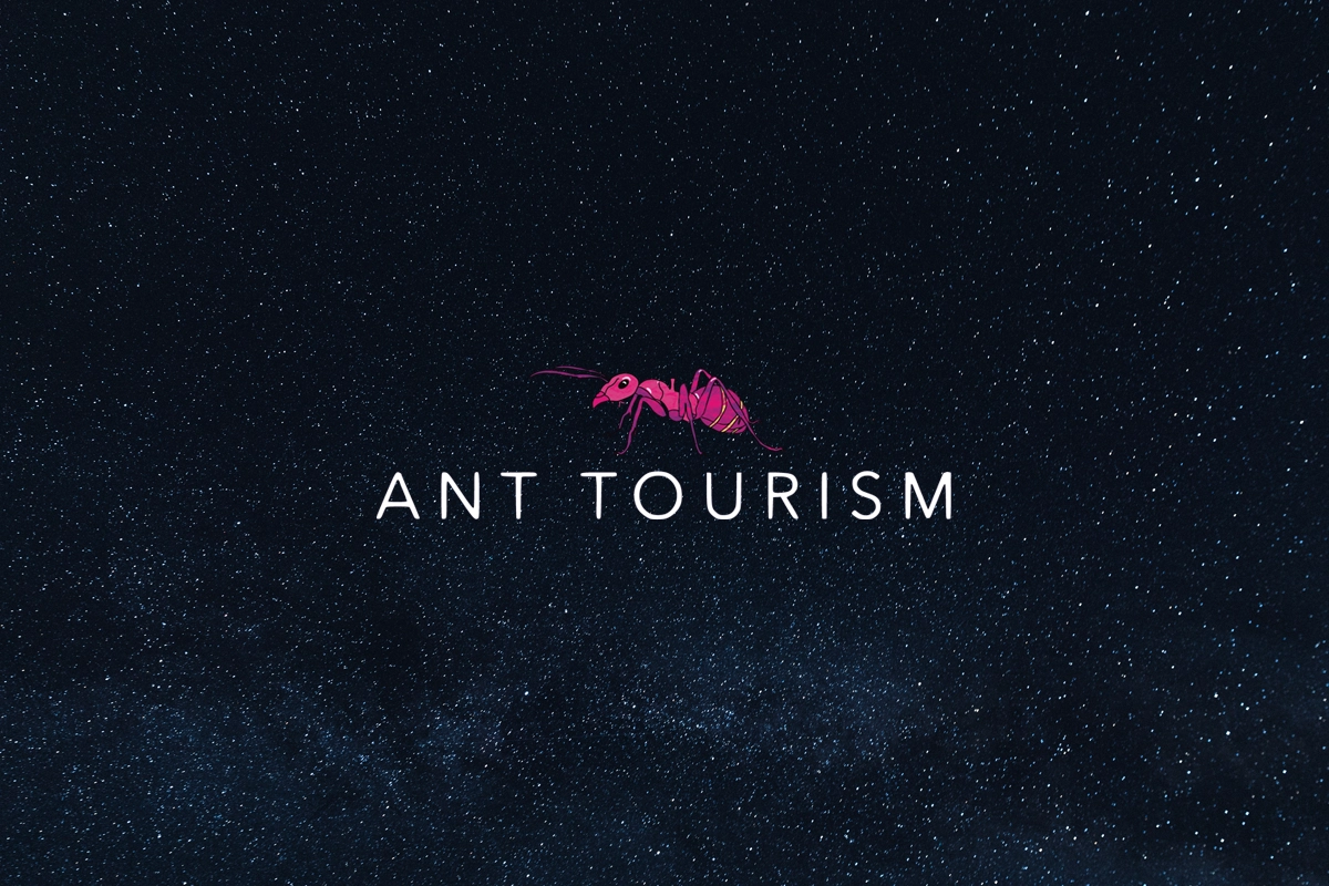 antalya website tasarım ant tourism